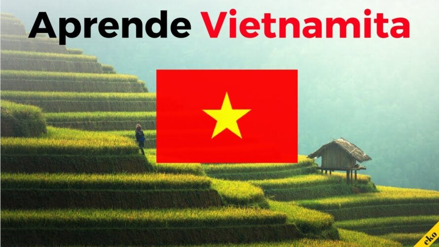 Aprende Vietnamita Mientras Duermes ||| Las Frases y Palabras Más Importantes En Vietnamita ||| (3H)